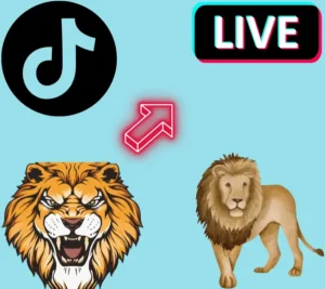 How Much is the Lion on TikTok A Complete Guide