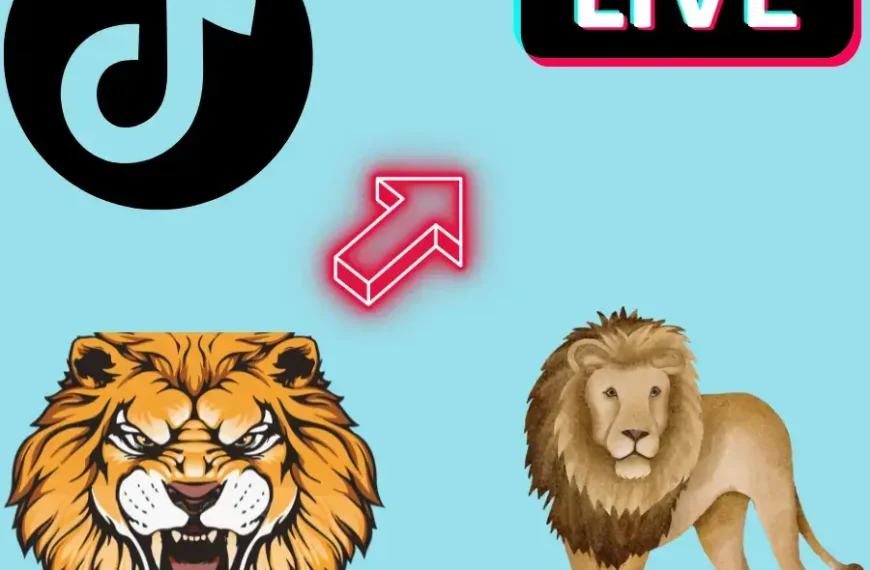 How Much is the Lion on TikTok A Complete Guide