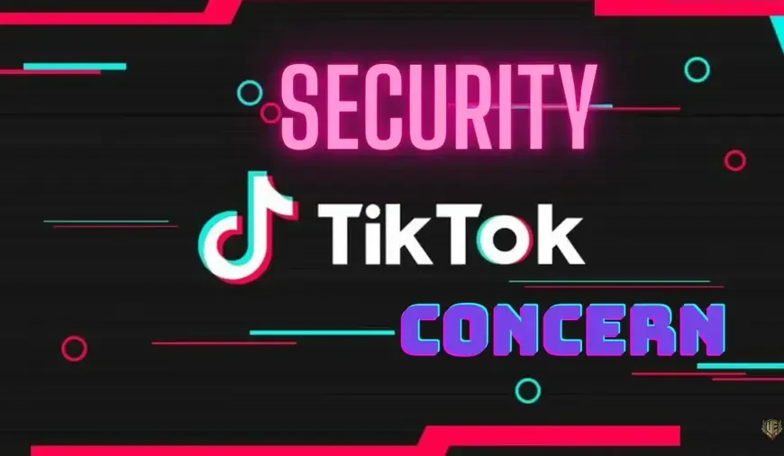 What Does TikTok Collect and What Are TikTok Security Concerns